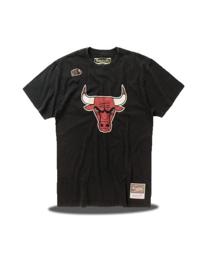 Chicago Bulls Worn Logo Tee
